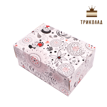 Коробка - контейнер без вікна 