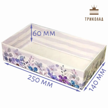 Коробка подарункова з прозорою кришкою 250 х140 х 60 мм 