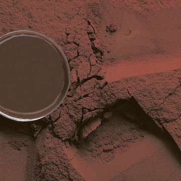 Порошок какао 10/12% 10R315/Darko, Barry Callebaut, 1 кг