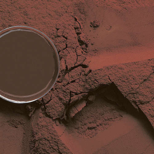 Порошок какао 10/12% 10R315/Darko, Barry Callebaut, 200 г