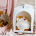 Коробка для паски 