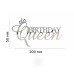  Birthday Queen з короною. Топер срібний пластиковий (w100 h50мм)