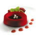 Матриця PX045 SAVARIN MIGNON, d 40 мм, h 13 мм, v 13 мл, 77 осередків, Pavoni, Італія