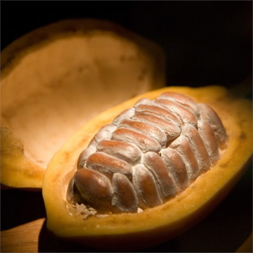 Какао боби подрібнені, обсмажені TM Callebaut, 100 г