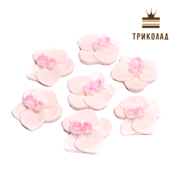 Кондитерський декор 