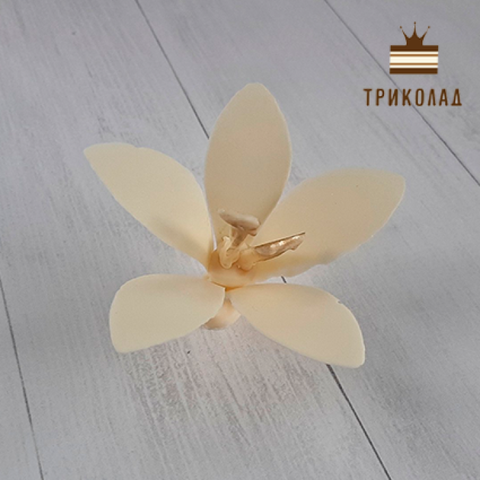 Трафарет кондитерський для шоколаду Трафарет кондитерський для шоколаду