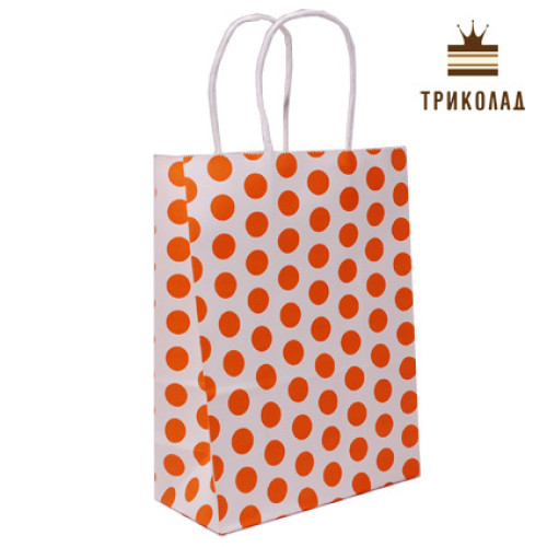 Пакет паперовий з ручками, 16*22*8 см., 