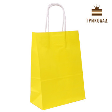 Пакет паперовий з ручками, 16*22*8 см., 