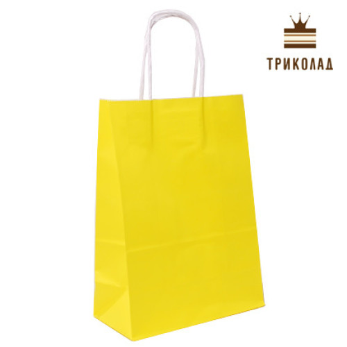 Пакет паперовий з ручками, 16*22*8 см., 