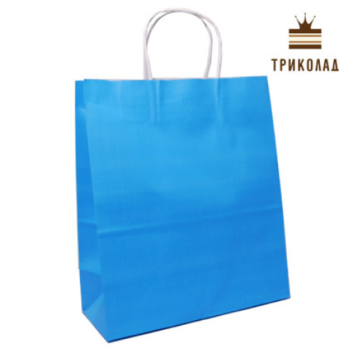Пакет паперовий з ручками 22*27*11 см, 